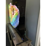 Image 4 of customer photos