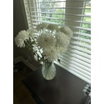 Image 8 of customer photos