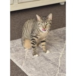 Image 2 of customer photos