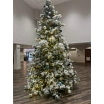 Image 2 of customer photos