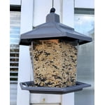 Image 3 of customer photos