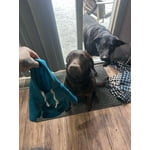 Image 2 of customer photos