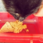 Image 5 of customer photos