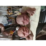 Image 3 of customer photos