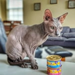 Image 4 of customer photos