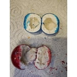 Image 2 of customer photos