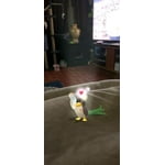 Image 1 of customer photos