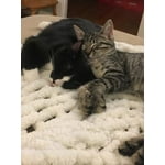 Image 4 of customer photos