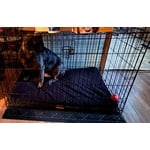 Image 5 of customer photos