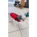 Image 2 of customer photos