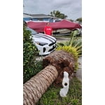 Image 4 of customer photos