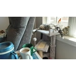 Image 1 of customer photos