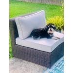 Image 4 of customer photos