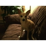 Image 1 of customer photos