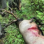 Image 3 of customer photos