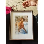 Image 6 of customer photos
