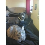 Image 6 of customer photos