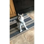 Image 5 of customer photos