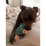 Image 6 of customer photos