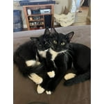 Image 4 of customer photos