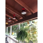 Image 5 of customer photos