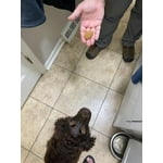 Image 5 of customer photos