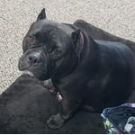 Image 2 of customer photos