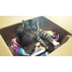 Image 6 of customer photos