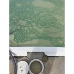 Shock it clean at walmart Shock it clean at walmart