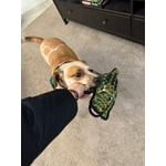 Image 6 of customer photos