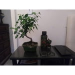 Image 7 of customer photos