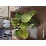 Image 7 of customer photos