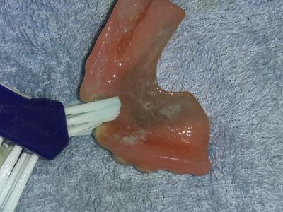 walmart denture brush