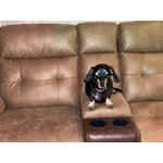 Image 3 of customer photos