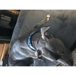 Image 1 of customer photos