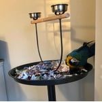 Image 5 of customer photos