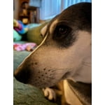 Image 6 of customer photos