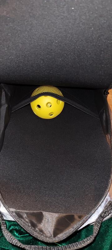 Free Shipping! JOOLA Pickleball Set with 2 Paddles, 4 Balls