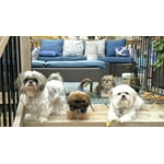 Image 5 of customer photos