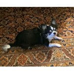 Image 2 of customer photos