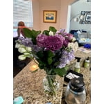 Image 10 of customer photos