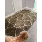 Image 7 of customer photos