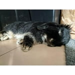 Image 5 of customer photos