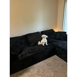 Image 3 of customer photos