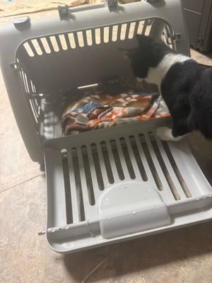 Vibrant Life Foldable Plastic Travel Cat Carrier Gray, Ventilated