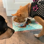 Image 6 of customer photos