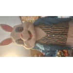 Image 6 of customer photos