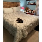 Image 2 of customer photos