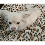 Image 7 of customer photos