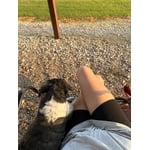 Image 4 of customer photos